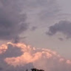 Meet your Posher, Meg